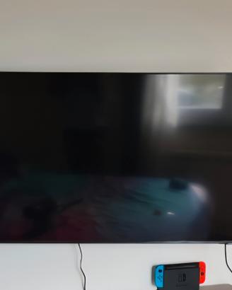 TV Samsung UE55AU8070UXZT – Non funzionante
