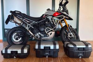 Tiger 900 Rally Pro 2024