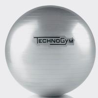 Wellness ball Technogym nuova