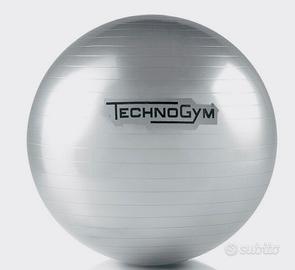 Wellness ball Technogym nuova