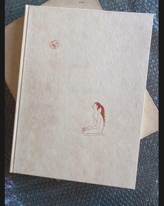 Libro Quattro Favole Silvia Fiocchi illustrazione