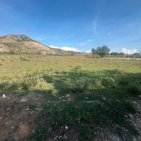 S2 Terreno agricolo
