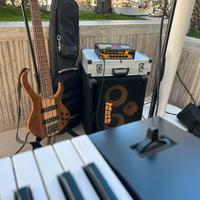 Ibanez btb676 pickup mama scambi.o