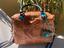 Immagine 6