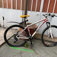 MTB Bottecchia Stelvio 29"