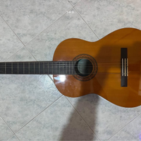 Chitarra C40