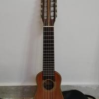 charango in armadillo