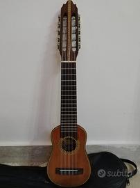 charango in armadillo