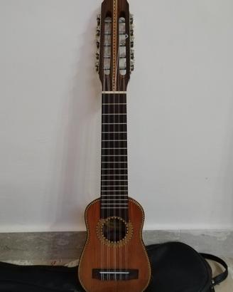 charango in armadillo