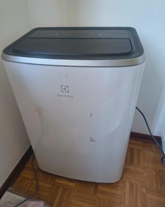 Condizionatore Portatile Pinguino Electrolux