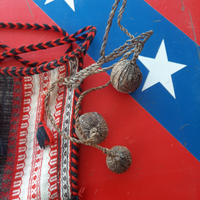 Bolas argentine
