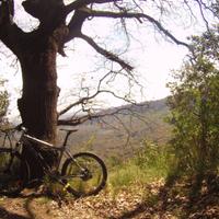 MTB Specialized - Mountain Bike