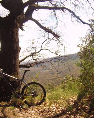 MTB Specialized - Mountain Bike