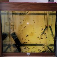 Acquario Juwel Lido 120 effetto legno