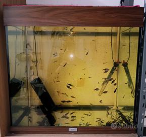 Acquario Juwel Lido 120 effetto legno