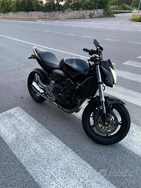 Hornet