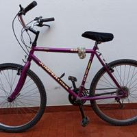 Bici ragazzo ruota 26