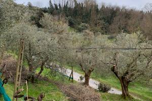 Terreno agricolo S. Martino in colle