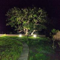 VILLETTA PALINURO x8 PERSONE