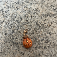 Charm THUN con coccinella