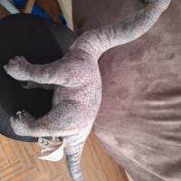peluche dinosauro