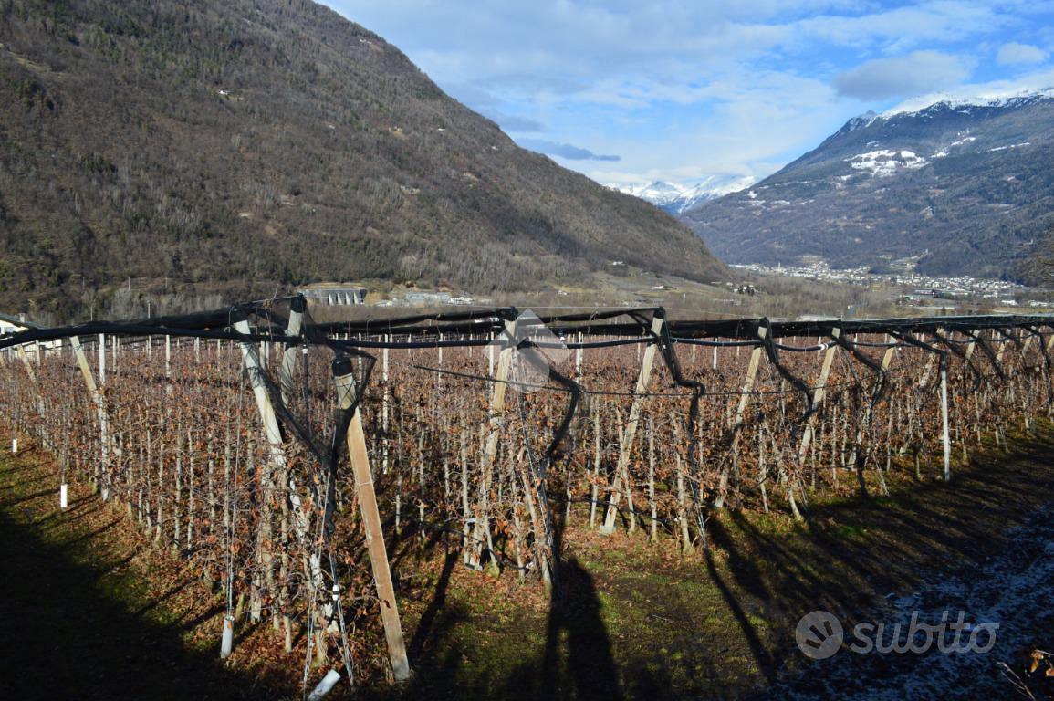TERRENO A LOVERO - Altro