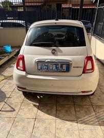 Cinquecento bianca