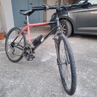 bicicletta