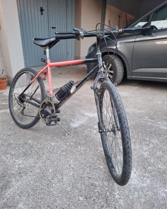 bicicletta