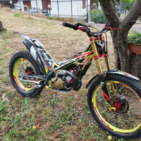 Trs 300 gold 2020