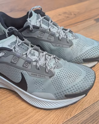 Scarpe da trail running Nike Pegasus Trail tg 42