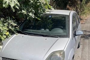 Ford Fiesta 2007