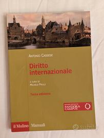 Diritto Internazionale 