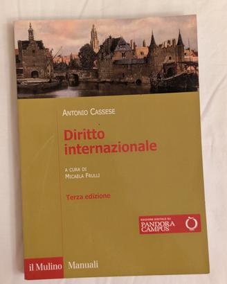 Diritto Internazionale 