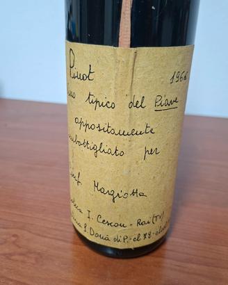 pinot annata 1966