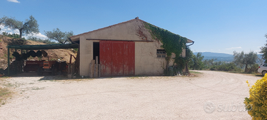 Ricovero animali, box, garage o deposito