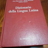 dizionario  latino 