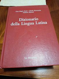 dizionario  latino 