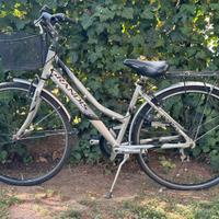 Bici Grandis