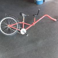 cammellino rimorchio bici