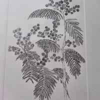 Dipinto china su carta-Litografia