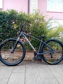 SPECIALIZED ROCKHOPPER 29