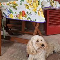 Barboncino nano per accoppiamento