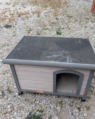 Casetta per cane
