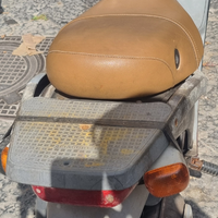 Piaggio free 50