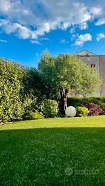 Lampada a sfera per esterno