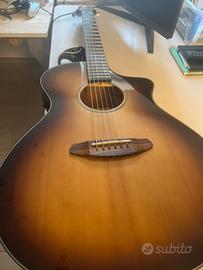 Chitarra breedlove