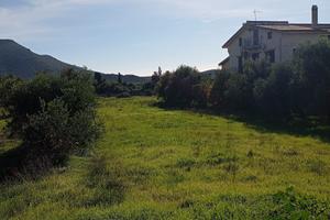 Terreno Edificabile 1100mq