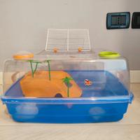 Acquario tartarughe / Tartarughiera 