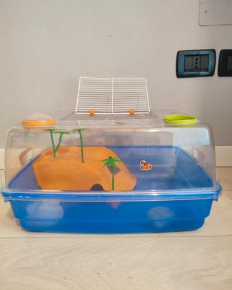 Acquario tartarughe / Tartarughiera 